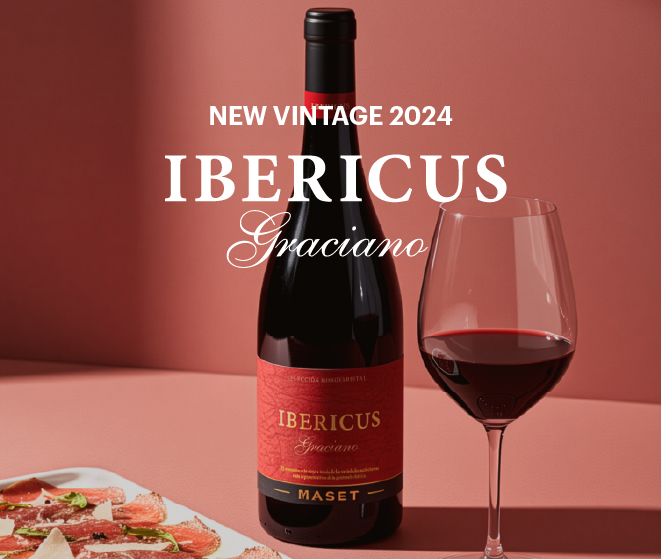 Ibericus Graciano from Bodegas Maset