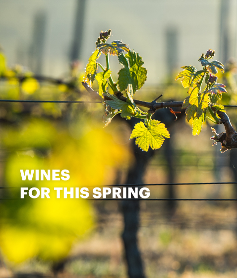 Wines for spring time
