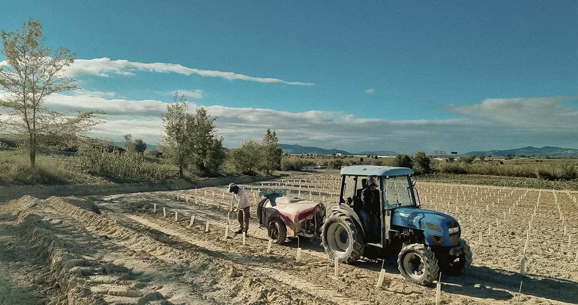 Finca de la Teuleria dels Àlbers