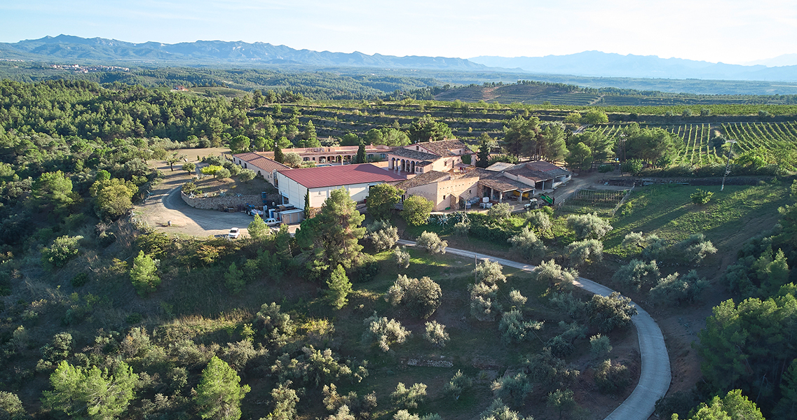 Vista aèria del celler del Molar, amb les muntanyes de la Mola i lo Sarraó a l'horitzó