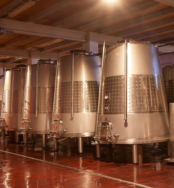 Instal·lacions de l'actual celler