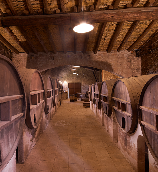 Interior del celler cartoixà