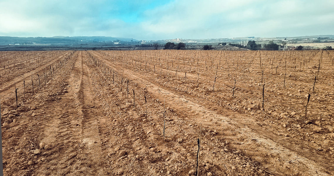 Finca de La Teuleria dels Àlbers