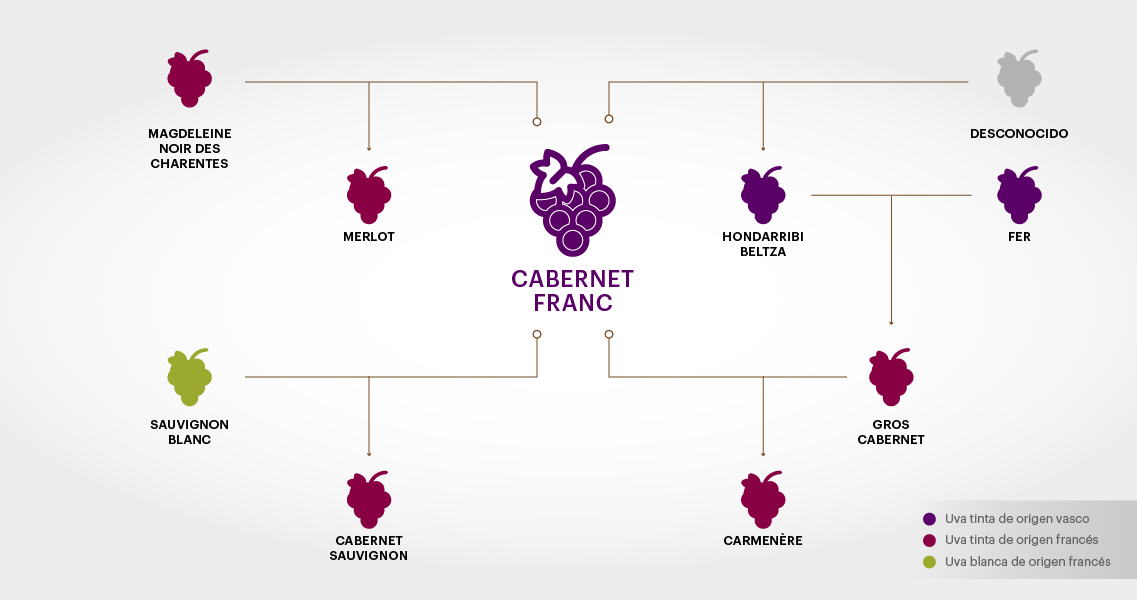 Genealogía del Cabernet Franc