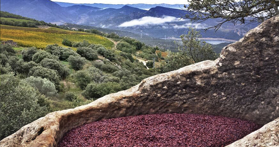 Lagar de piedra en la Rioja Alavesa