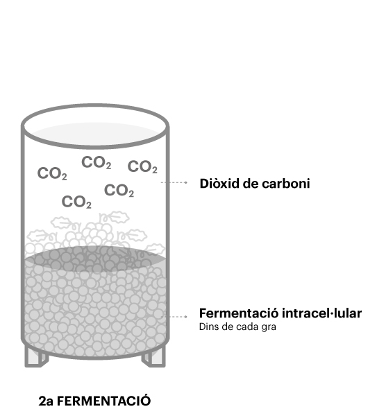 Segona fermentació