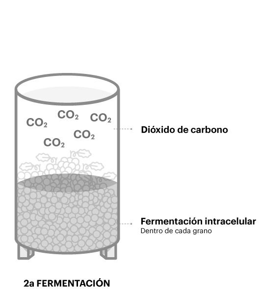 Segunda fermentación