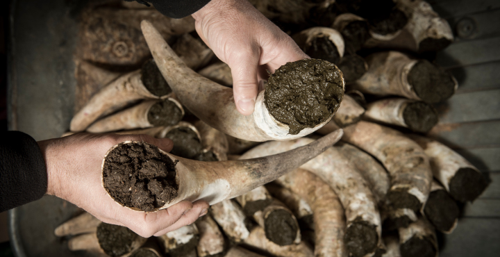 L'agricultura biodinàmica: cultivar la terra mirant les estrelles