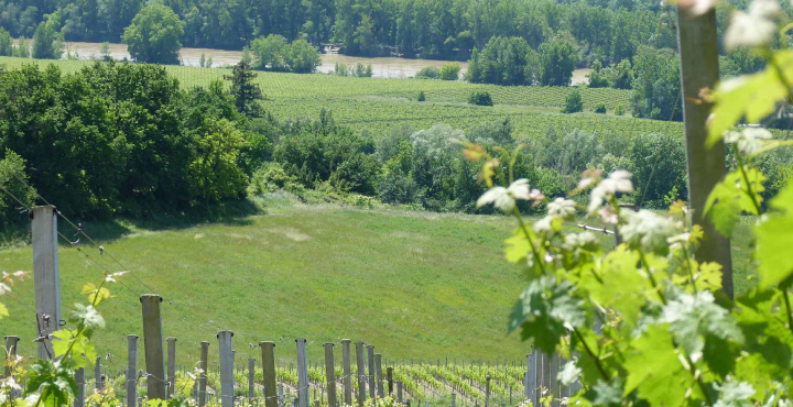 Descobriu els paratges històrics de França amb Maset