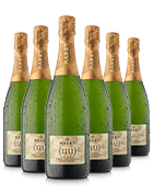 6 botellas Nu Brut de Bodegas Maset