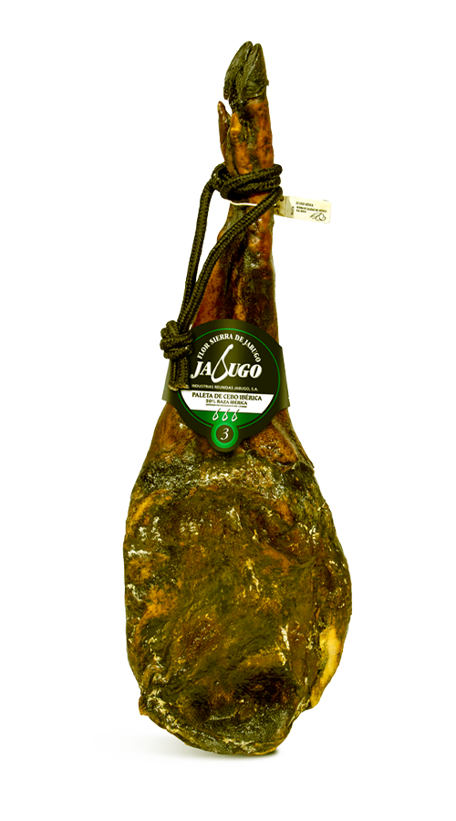 Iberian cebo shoulder