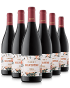 Silvestre