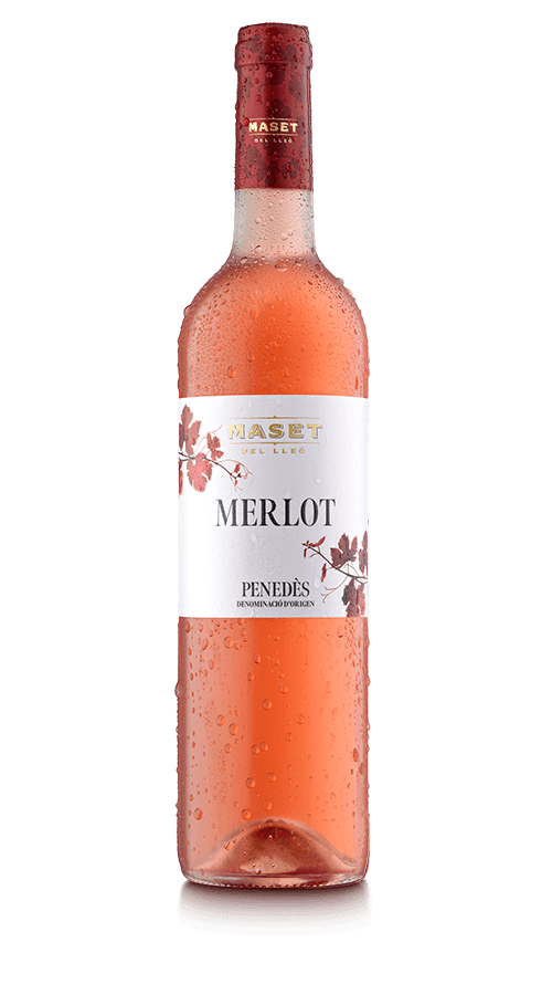 Merlot Rosat - Maset del Lleó al restaurant de l