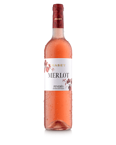 Merlot from Maset Winery