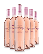 Eufòria 