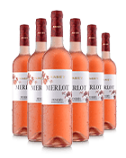 6 ampolles Merlot de Cellers Maset