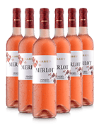 6 bottles Merlot from Bodegas Maset