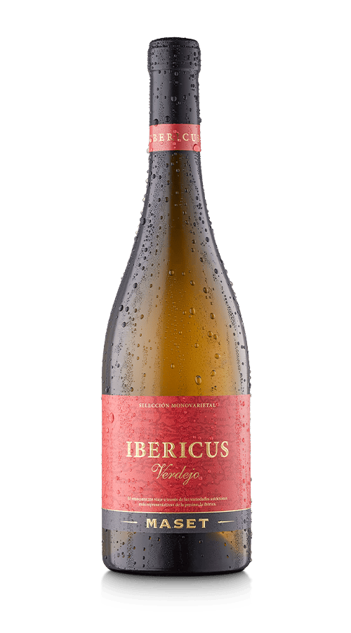 Weisswein Ibericus Verdejo von Bodegas Maset