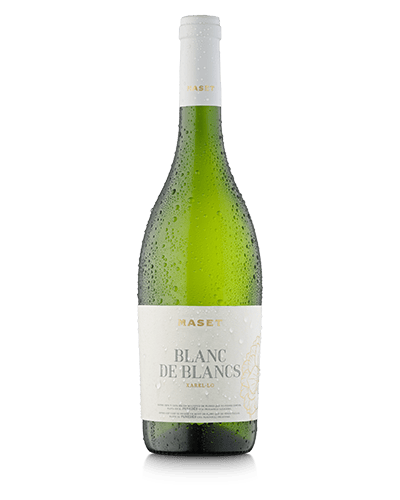 Blanc de Blancs from Maset Winery