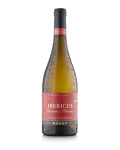 Ibericus Garnatxa Blanca de Bodegas Maset