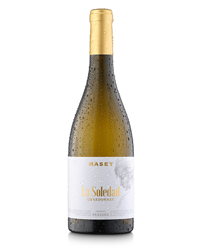 La Soledad de Bodegas Maset